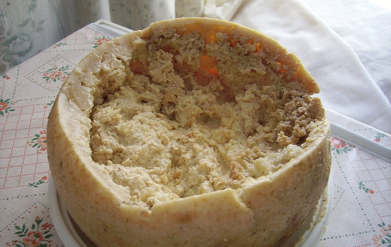 Casu marzu: Cea mai periculoasă brânză din lume