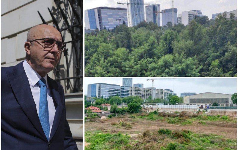 Cum au organizat fazanii rezistența în fața defrișărilor ilegale de pe un teren din nordul Bucureștiului, unde fugarul Popoviciu vrea să facă blocuri
