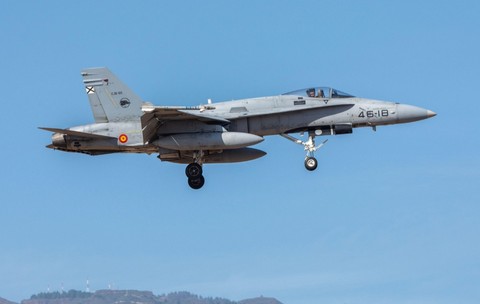 Avion F-18 în zbor