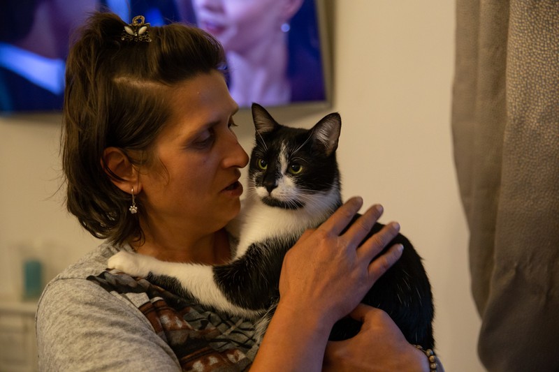 Pisica Zorila, denumită după semnul facial care aduce a masca lui Zorro
