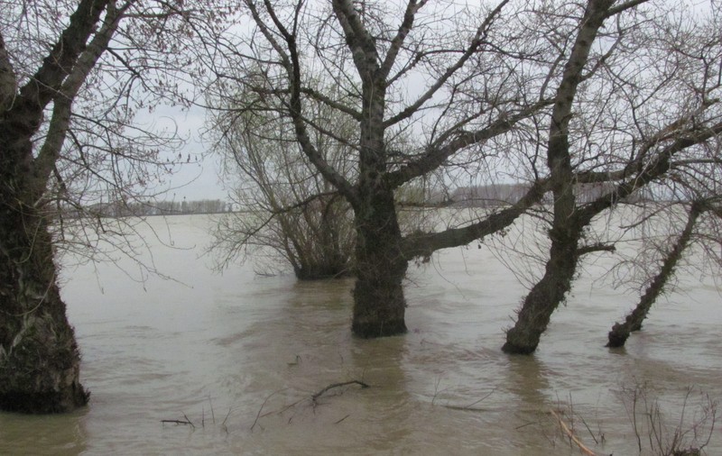Bosnia-Herţegovina e sub ape. În dezastrul natural au murit 26 de oameni, iar peste un milion au fugit din calea puhoaielor | FOTO