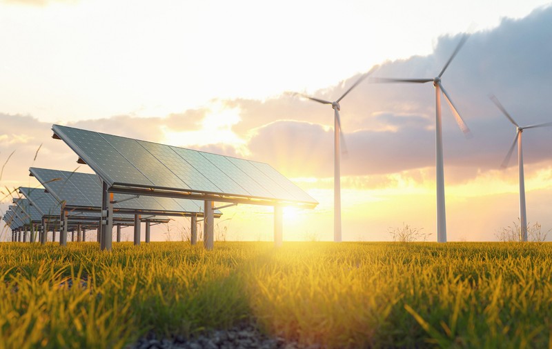 Un ONG de mediu blochează cel mai mare proiect fotovoltaic din Europa, dezvoltat în România