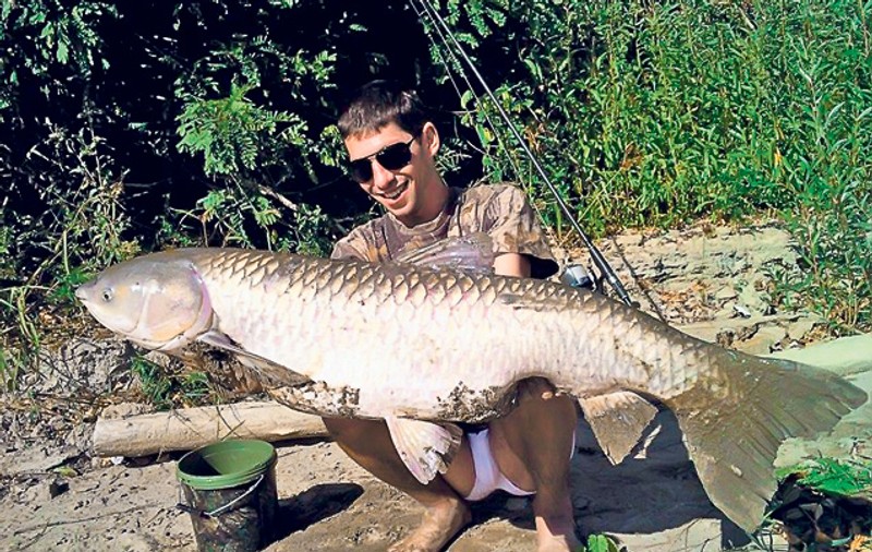 PESCUIT | Povestea unui amur de 23 kg prins pe Dunăre, la Giurgiu