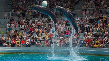 Copiii urmăresc încântați spectacolul delfinilor
