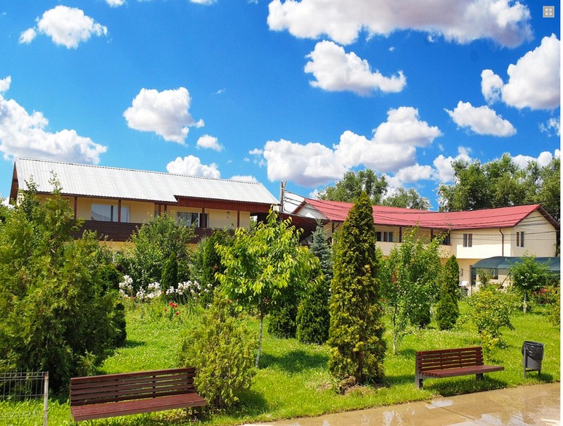 Bătrânul ieșea singur in curtea căminului
