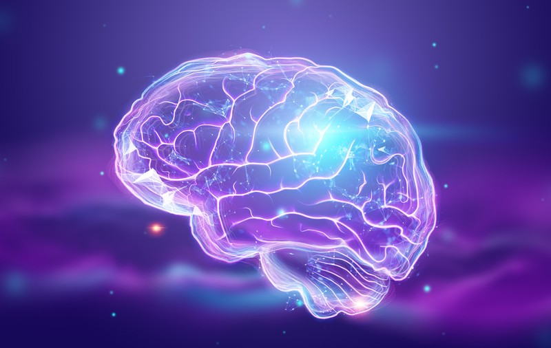 Cursuri de Brain Mapping - Oportunitate pentru dezvoltarea carierei tale