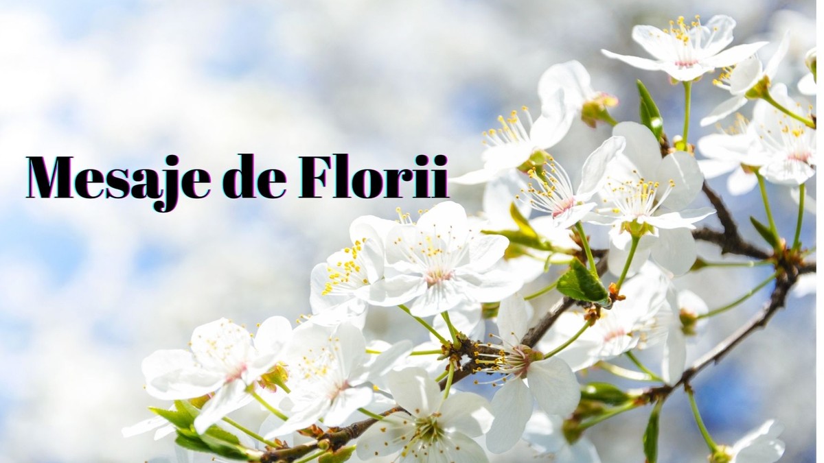 Mesaje de Florii 2021