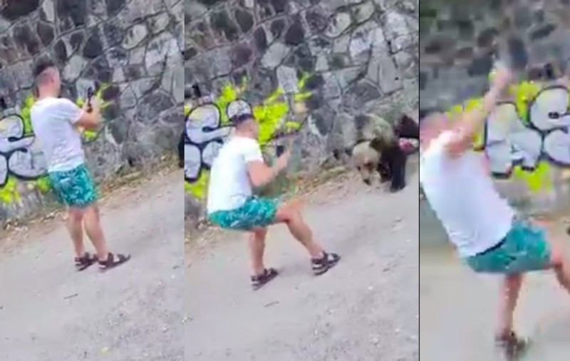 Un turist, la un pas să fie sfâșiat de un urs pe Transfăgărășan după ce s-a apropiat de el să-i facă poze