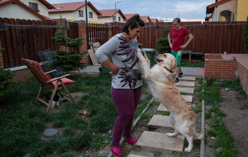 Crima care a șocat iubitorii de animale: câinii otrăviți ai familiei româno-norvegiene care îngrijește animale abandonate lângă Brașov