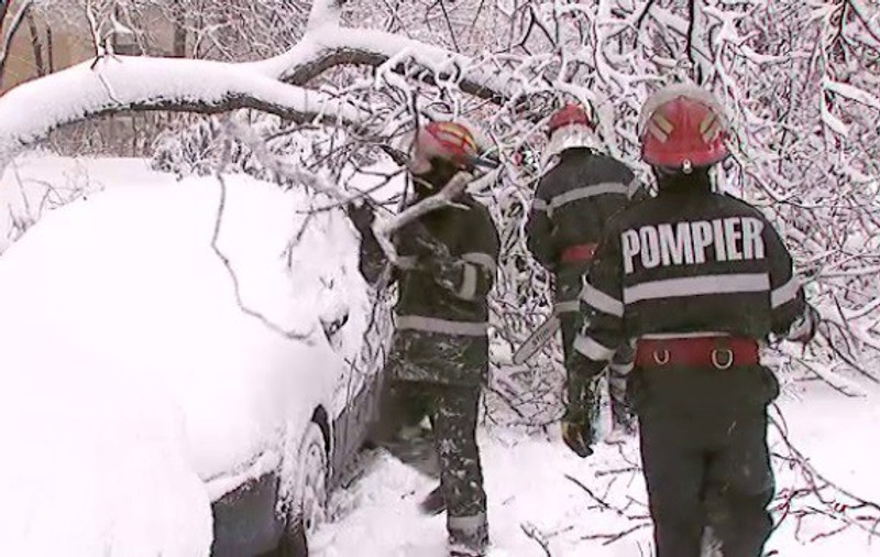Abonați fără electricitate, maşini blocate şi copaci căzuţi, în urma ninsorii. Care sunt zonele cele mai afectate