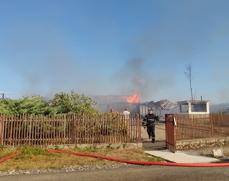 Incendiu uriaș de vegetație în Maramureș. Flăcările au ajuns în zona locuințelor. Circa 90 de oameni, evacuați