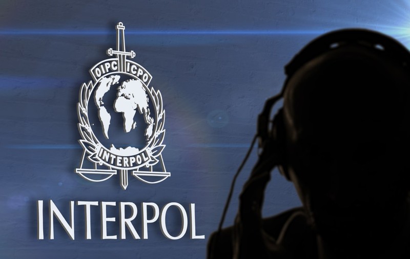 142.000 de victime şi 5.800 de persoane arestate după o operațiune INTERPOL în aproape 100 de țări, inclusiv România