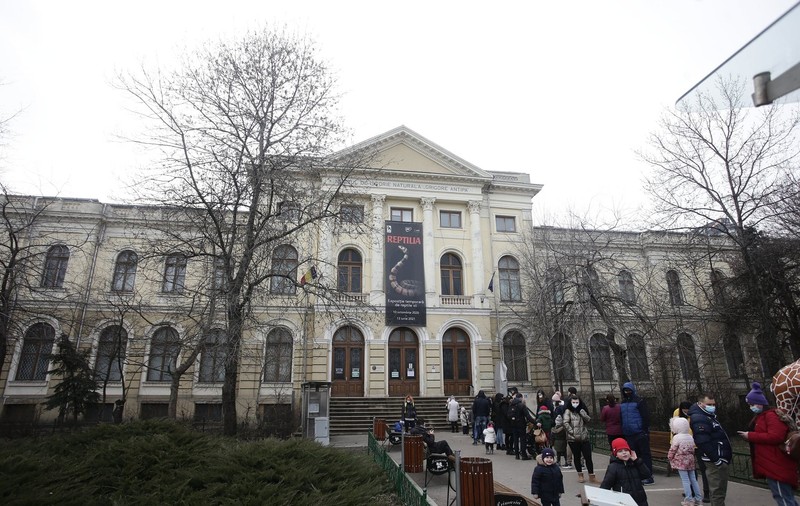 Aproape 100 de persoane, la coadă la Muzeul Antipa