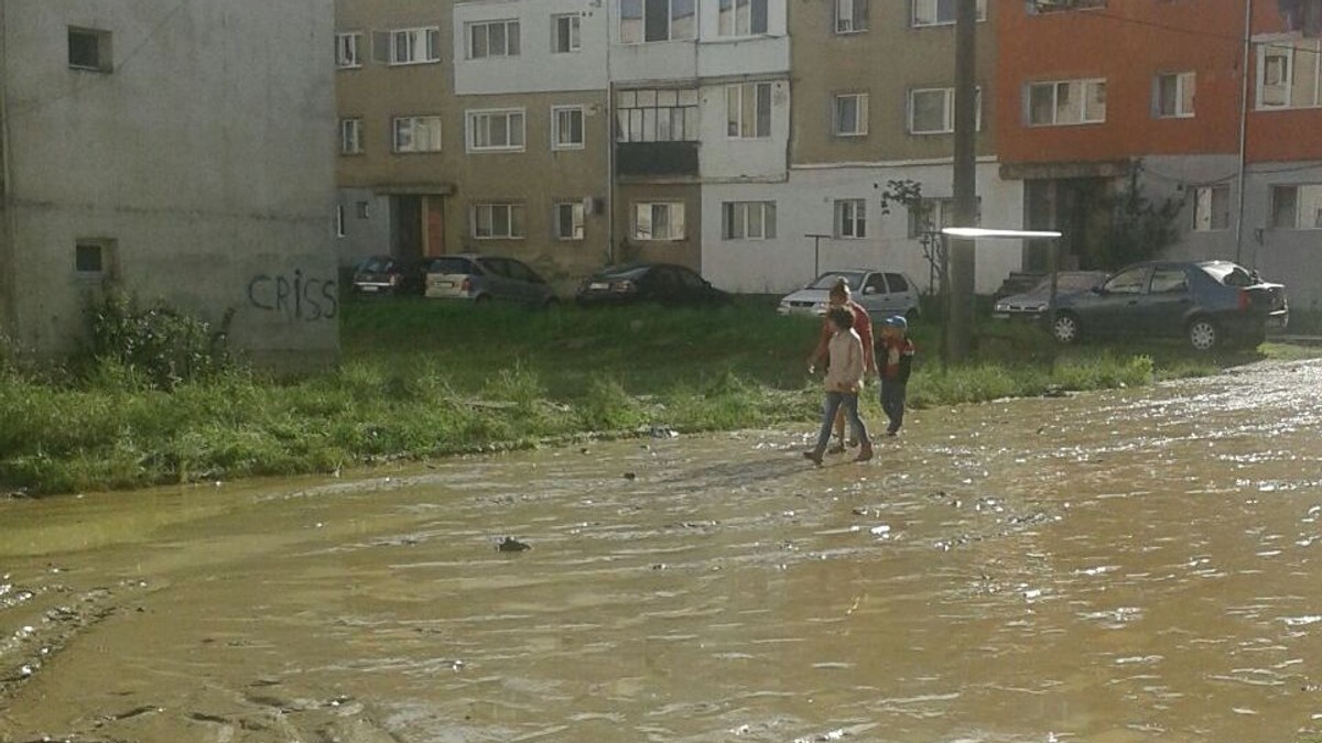 Arhiva foto