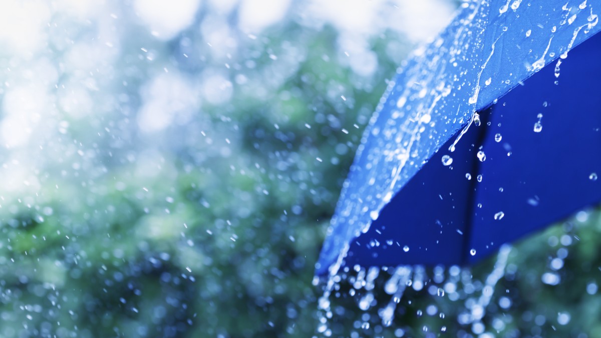 Ploaie torențială. În partea dreapta este o umbrelă albastră. În fundal se văd copaci verzi.