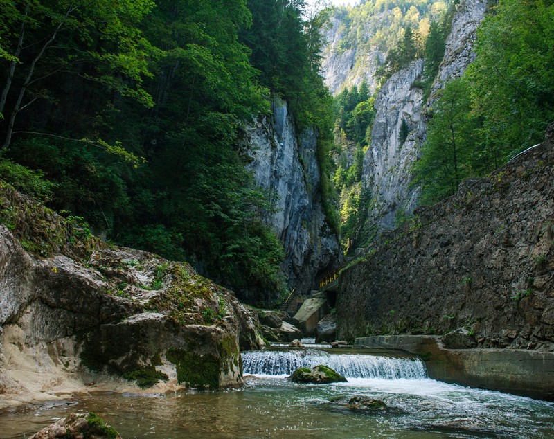 Rezervații naturale din România. Cele mai frumoase locuri pe care trebuie să le vizitezi