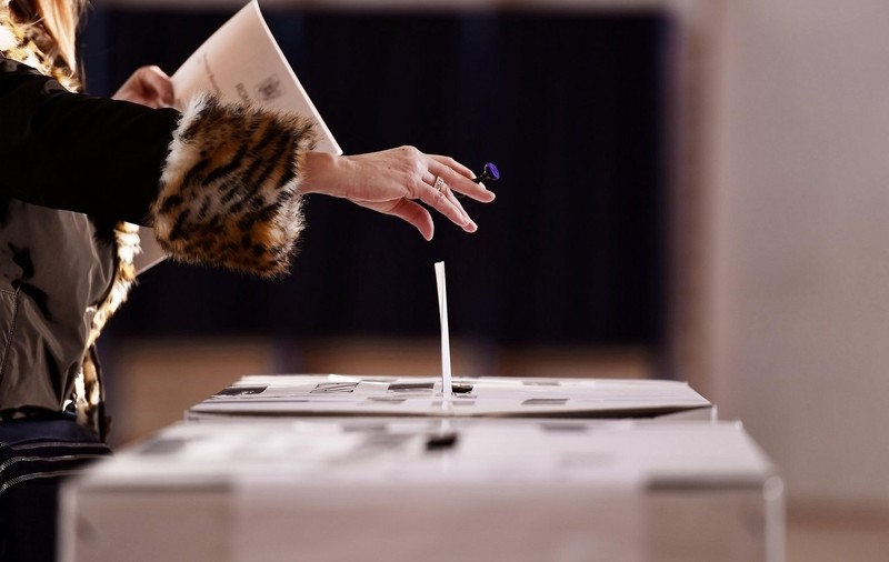 Care sunt partidele care participă la alegerile parlamentare 2024