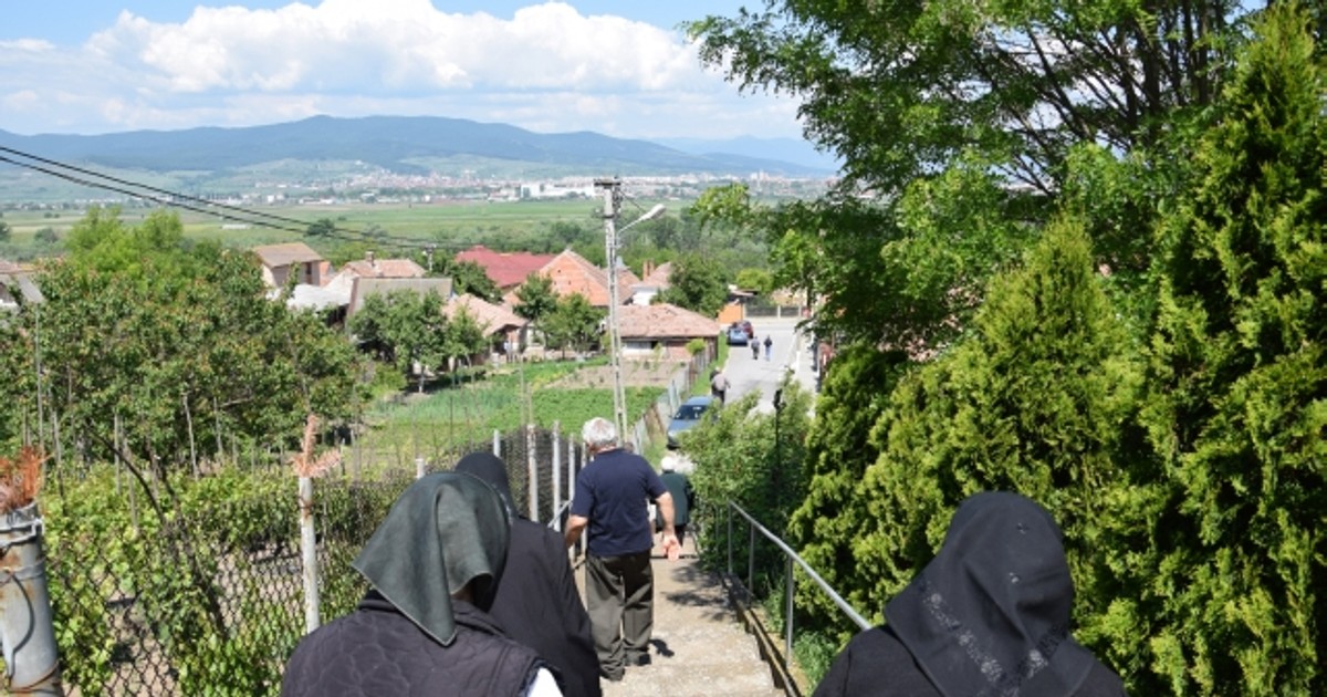 Arhiva foto