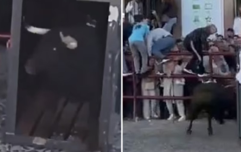 Momentul în care un taur furios trece prin barieră și lovește mulțimea, inclusiv copii, la un festival de Paște în Spania I VIDEO