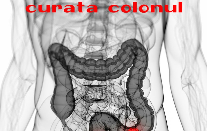 Alimente care îţi curăţă colonul