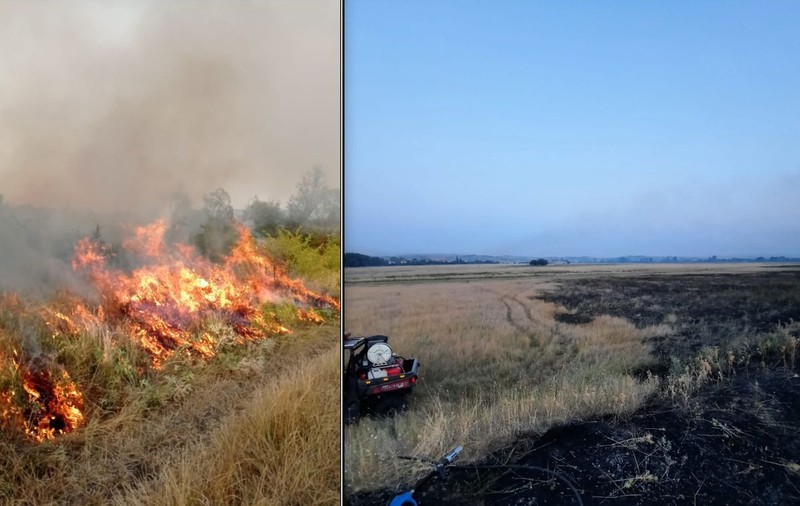 Incendiu de vegetație în Mehedinți. Flăcările s-au extins la mai multe gospodării
