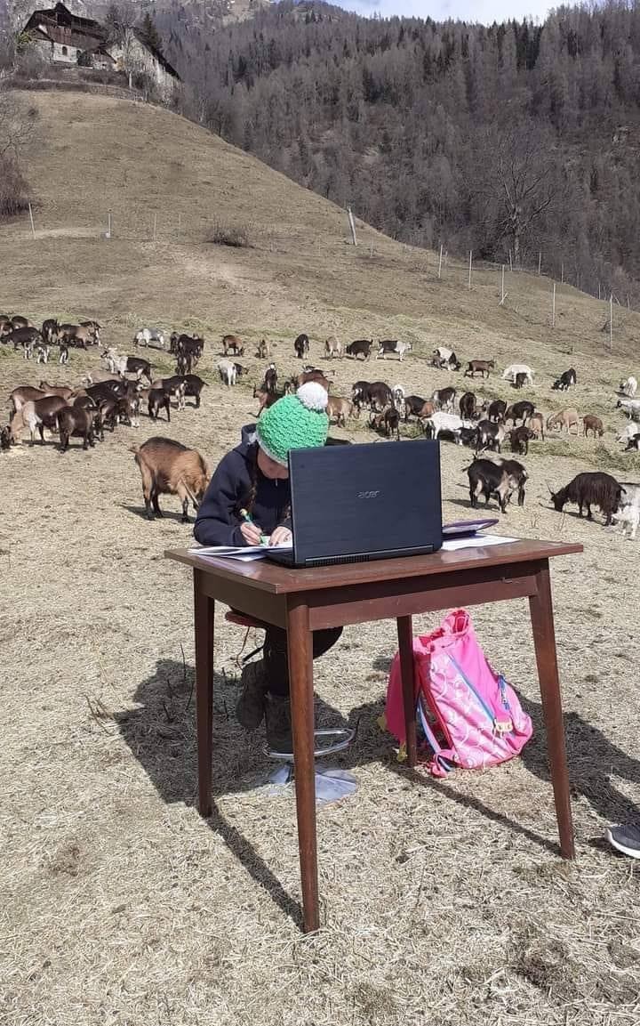 Fiammetta Melis făcând lecții | Foto: Profimedia