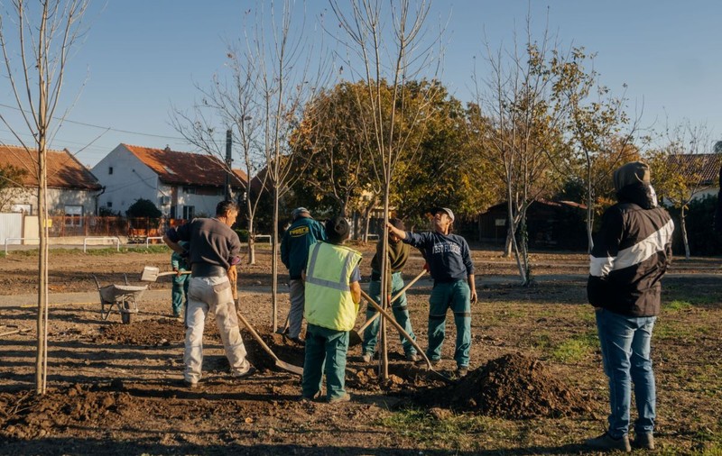 Primăria Timișoara amenajează un nou parc în municipiu. „Spațiu pentru plimbare, relaxare și picnicuri”