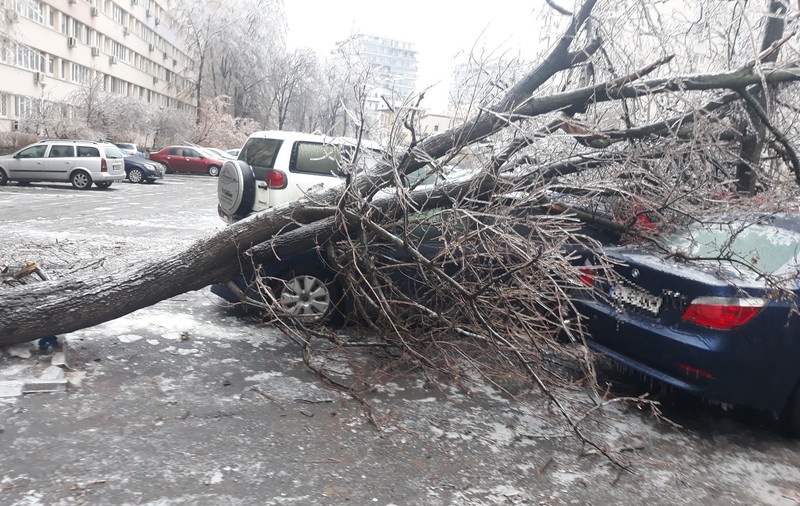 Ce șanse au șoferii fără CASCO din București să fie despăgubiți, după ce mașinile le-au fost distruse de copacii căzuți