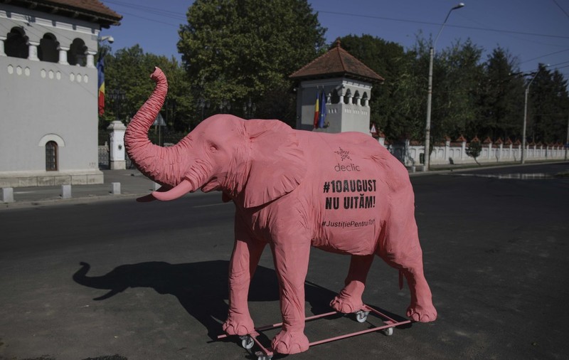 Membrii comunităţii Declic duc un elefant roz la toate instituţiile implicate în ancheta 10 august