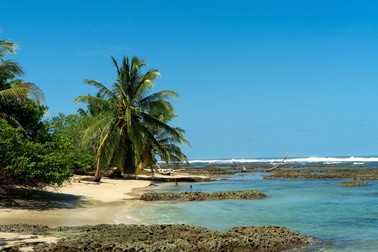 Tropical beach. Peaceful Caribbean beach with palm tree. Bastimentos Island, Bocas del Toro, Central America, Panama. High quality photo,Image: 976880259, License: Royalty-free, Restrictions: , Model Release: no