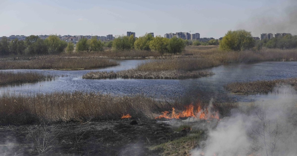 Incendiu în Delta Văcărești. Foto: Inquam Photos / George Calin