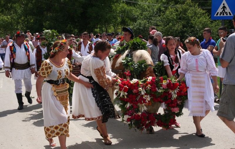 Val de nunţi la Figa după ce fetele au prins boul de Rusalii | GALERIE FOTO