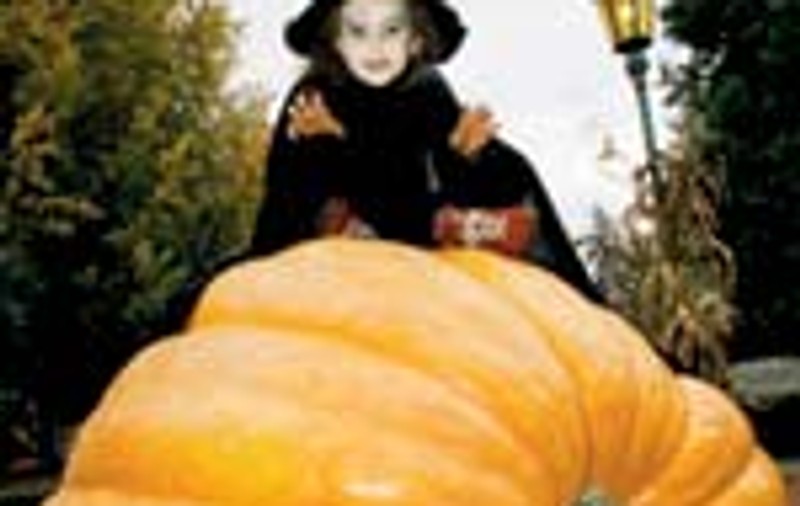 Cum iti petreci noaptea de Halloween?