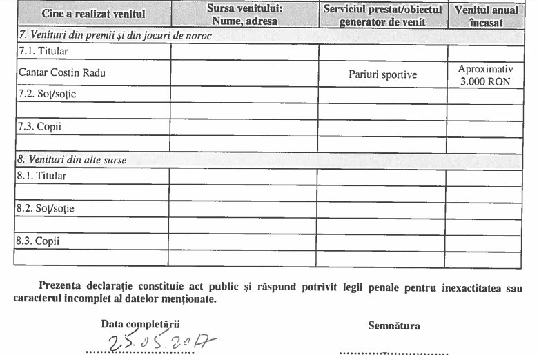 Declarație de avere Costin Radu Canţăr