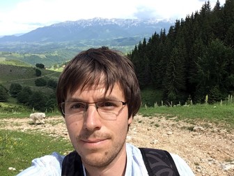 Mircea Iliescu