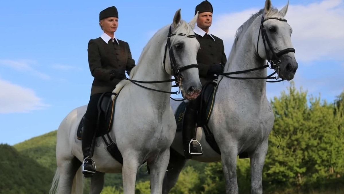 Regele Charles a primit doi cai cadou din Ungaria, dar la Budapesta a izbucnit un scandal diplomatic după ce i s-a cerut să-i înapoieze. Sursă foto: szilvásváradz.hu.