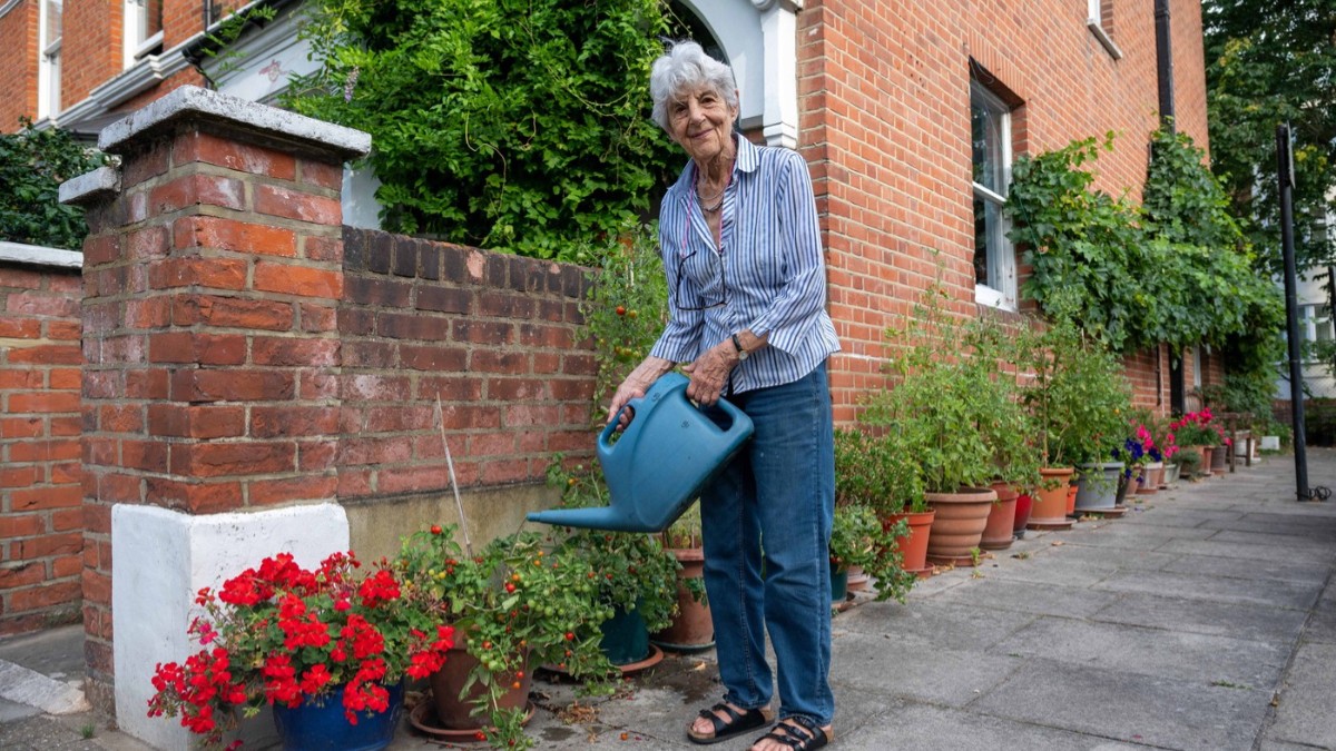 O femeie în vârstă care udă mai multe chivece de pe trotuar, unde are plantate roșii și flori
