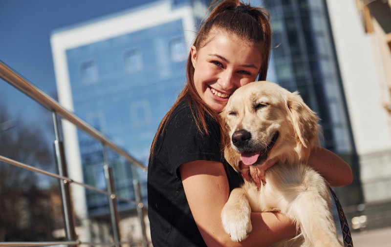 Oradea ar putea deveni primul oraș pet friendly din România: „Nu mai lăsăm cățeii în fața magazinului”