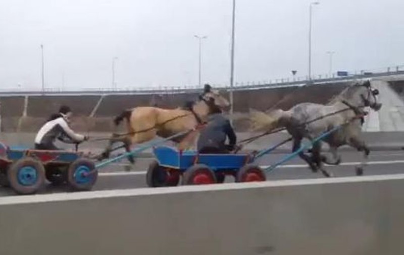 "Liniuţa" care face România de râsul Europei! Doi căruţaşi s-au luat la întrecere pe Autostrada Soarelui! | VIDEO