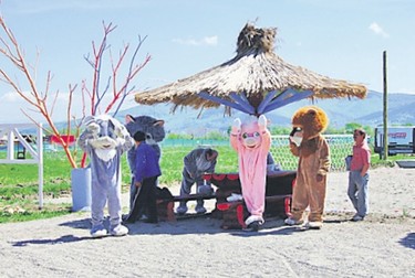 Arhiva foto