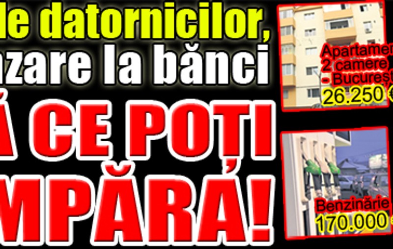 Banca vinde...o fermă de porci