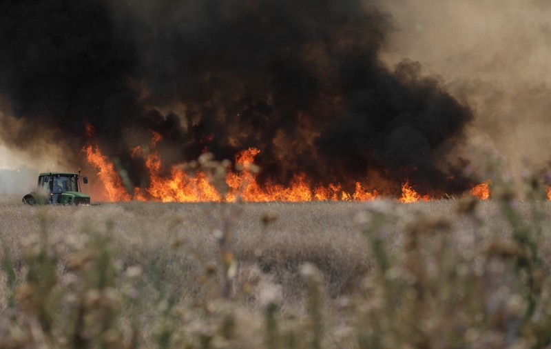Incendiu masiv de vegetație lângă București, stins după 4 ore. ISU: „O mică briză de vânt l-a alimentat”