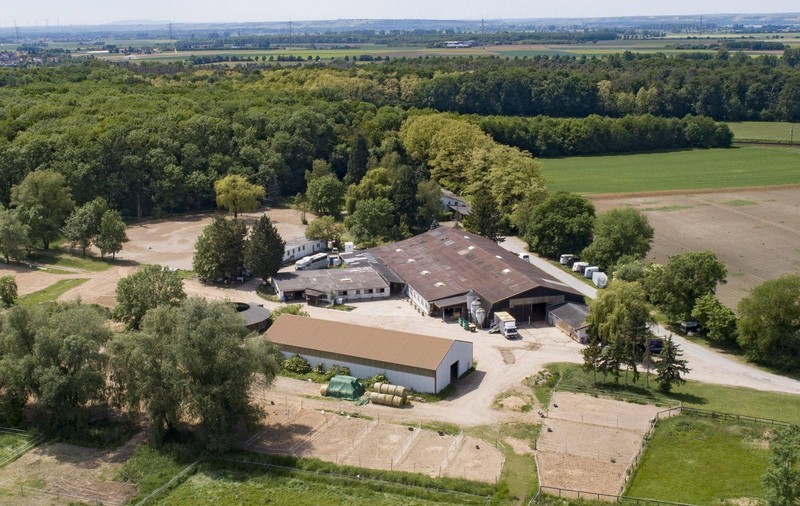 Un muncitor român de la un centru de echitație din Germania și-a omorât în bătaie un coleg