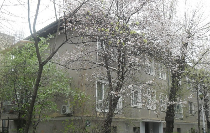 Cum arată cel mai ieftin apartament de vânzare în Primăverii. Îl iei la preț de garsonieră în Tineretului