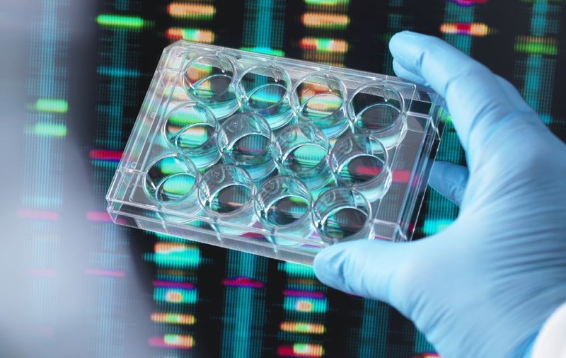 Avertismentul cercetătorilor britanici: „ADN-ul nostru poate fi folosit pentru supraveghere sau bioterorism”