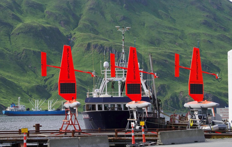 Cutremur cu magnitudinea de 7,8 grade în Alaska. A fost emisă o alertă de tsunami