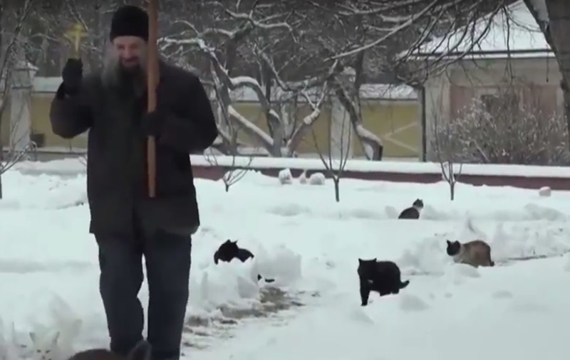 Așa ceva se poate doar în Rusia! Un bărbat "binecuvântează" pisicile de la o mânăstire /  VIDEO