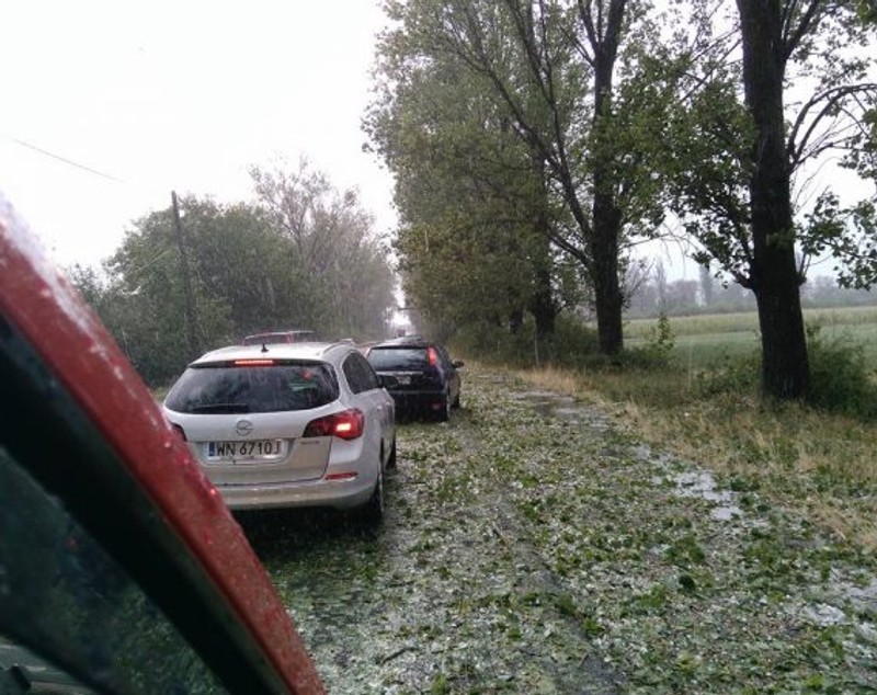 Furtună în mai multe județe din Transilvania. A plouat cu grindină, iar vântul a doborât zeci de copaci