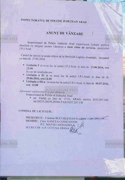 Arhiva foto