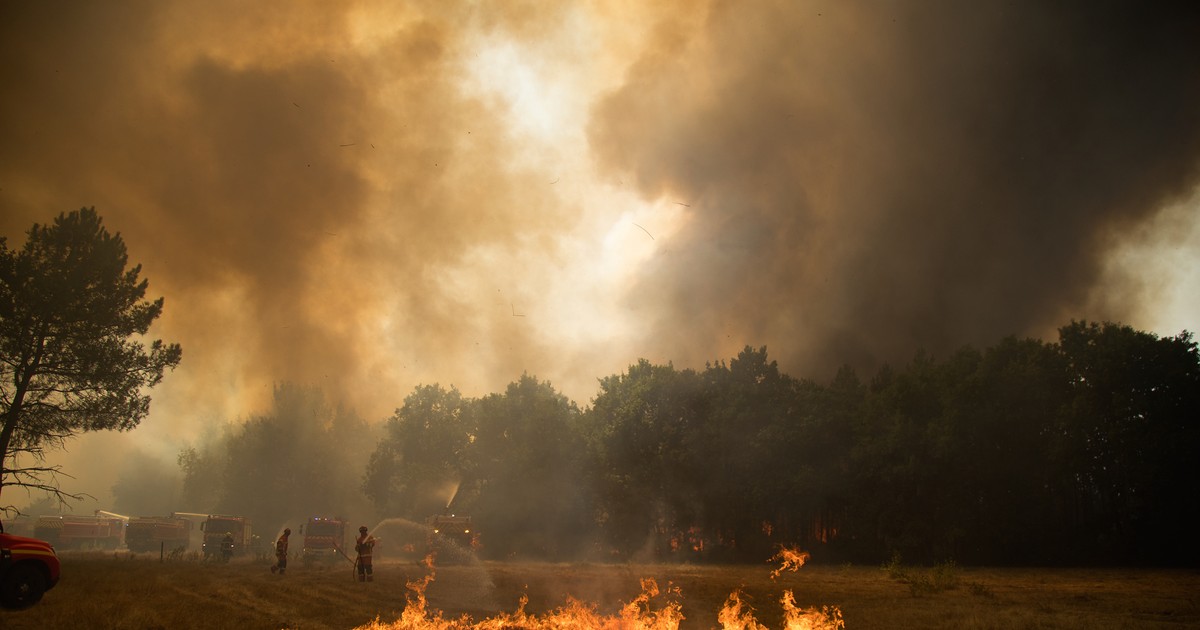 Incendiu devastator de vegetație în Franța. Sursă foto: Getty Images.